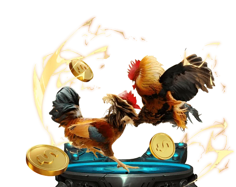 Tiết lộ các chương trình khuyến mãi 555win live