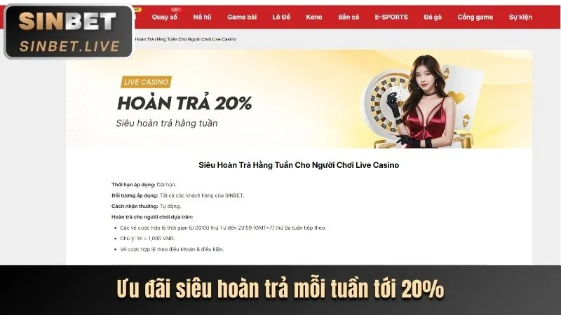 Hoàn Trả Cược Thua 555win live